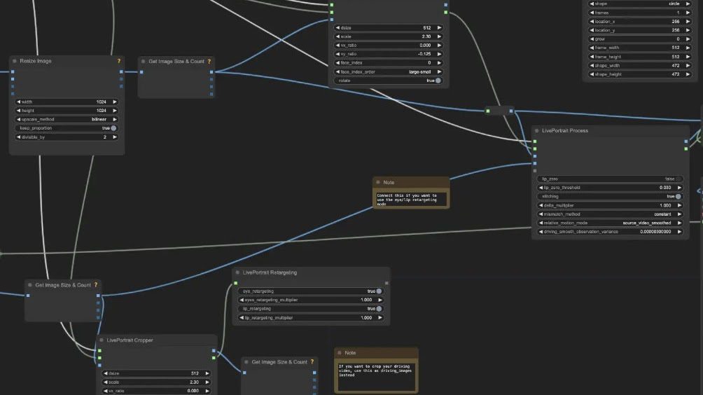 Custom ComfyUI LivePortrait workflow